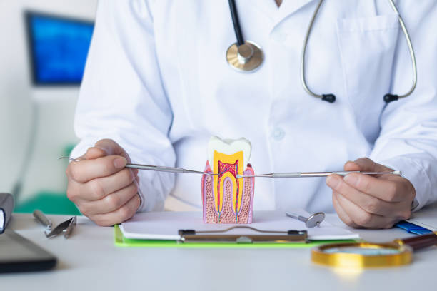 Best Emergency Dental Services for Seniors in Ukiah, CA
